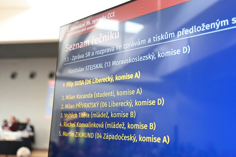 rozprava
